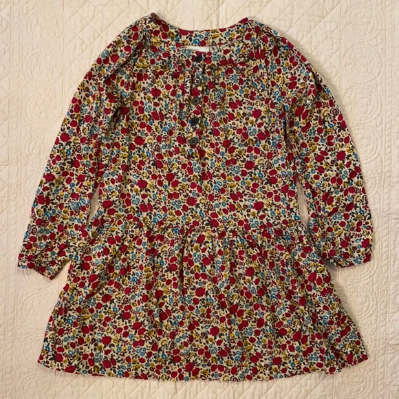 Hanna Andersson Fall Floral Dress
